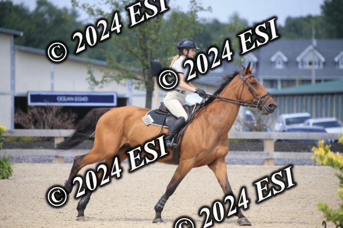 209AC2_1216
