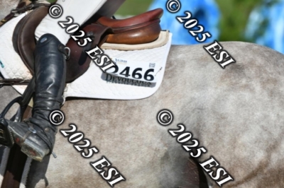 299DK2_6920