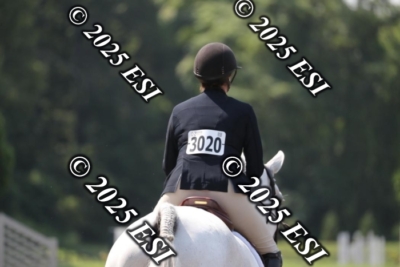 555RC_L4380