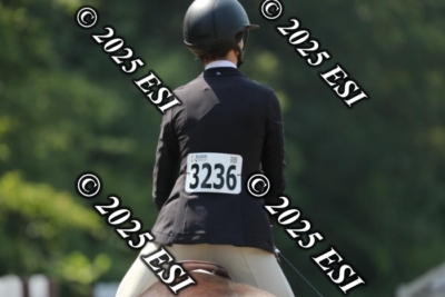555RC_L4385