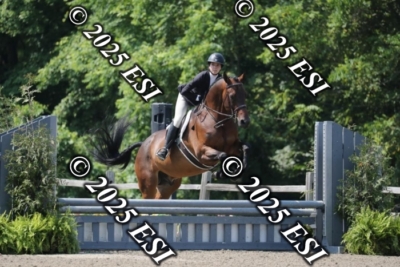 555RC_L4386