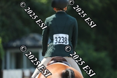 555RC_L4390