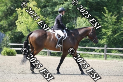 555RC_L4409