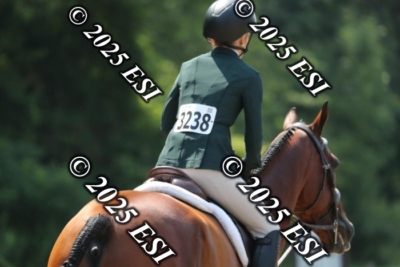 555RC_L4411