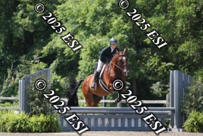 555RC_L4413