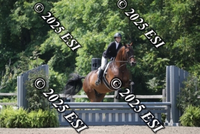 555RC_L4418
