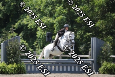 555RC_L4434