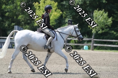 555RC_L4446