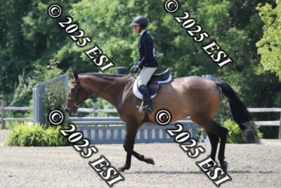 555RC_L4459