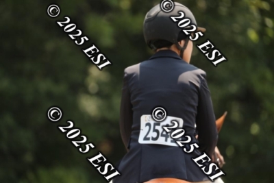 555RC_L4498