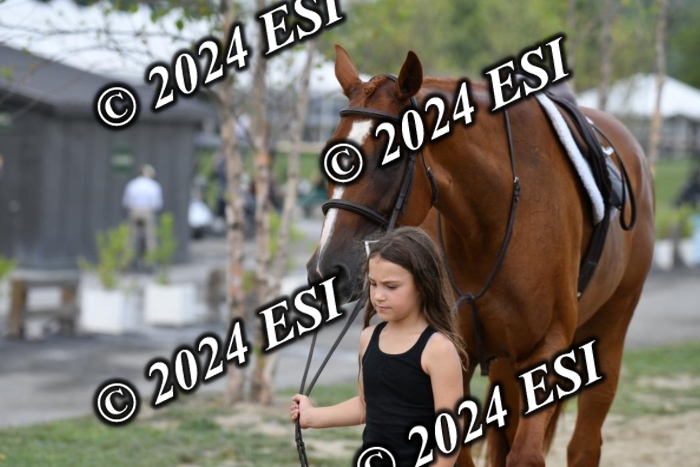 888517DK1_2392