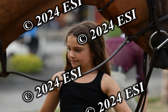 888517DK1_2396