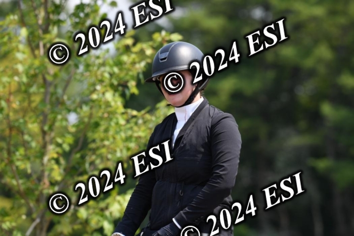 888517DK1_2451