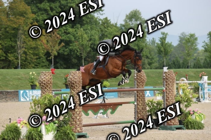 723GAB12646