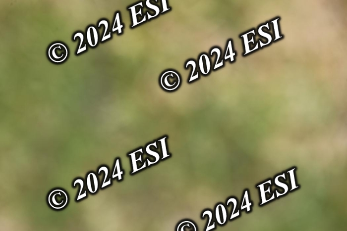 723GAB12694