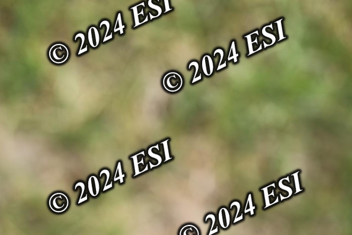 723GAB12695