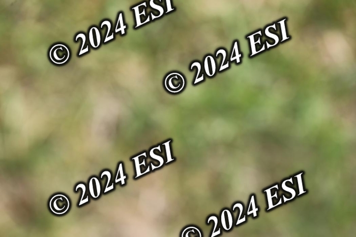 723GAB12696