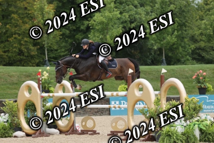 417GAB12976