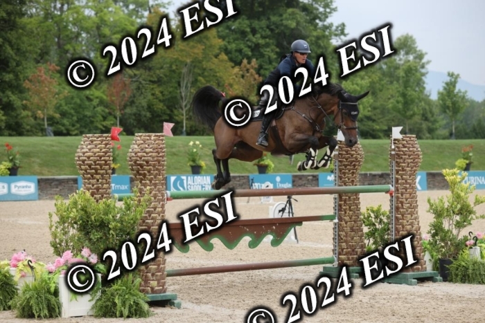 417GAB12982
