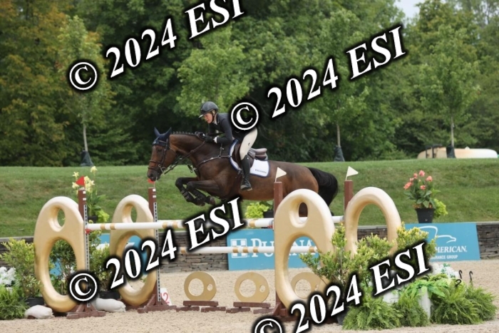 417GAB13256
