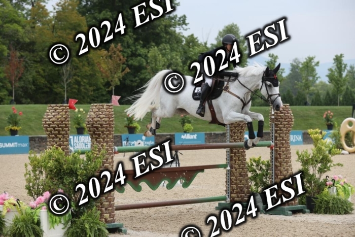 417GAB13265