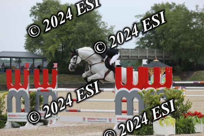 417GAB13266