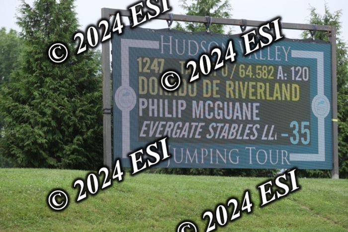 417GAB13291