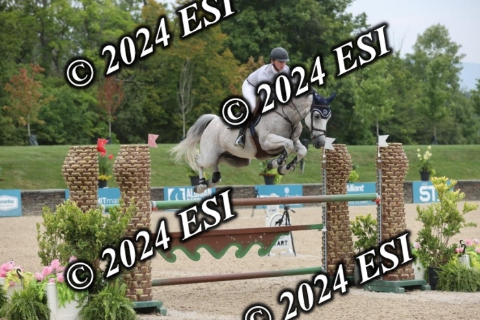 417GAB13295