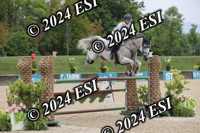 417GAB13297