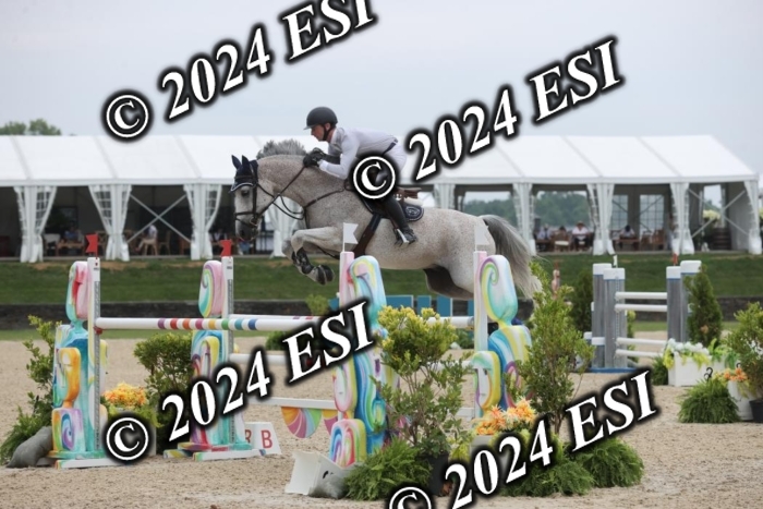 417GAB13299