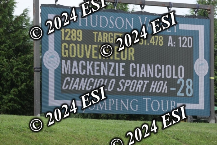 417GAB13347