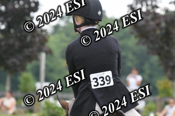 371DK1_3453