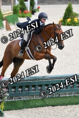 631DK1_3644