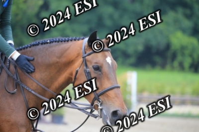160AC2_2696