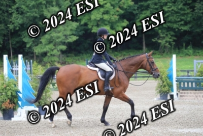160AC2_2845