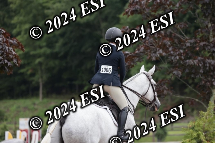 110SC1_3179
