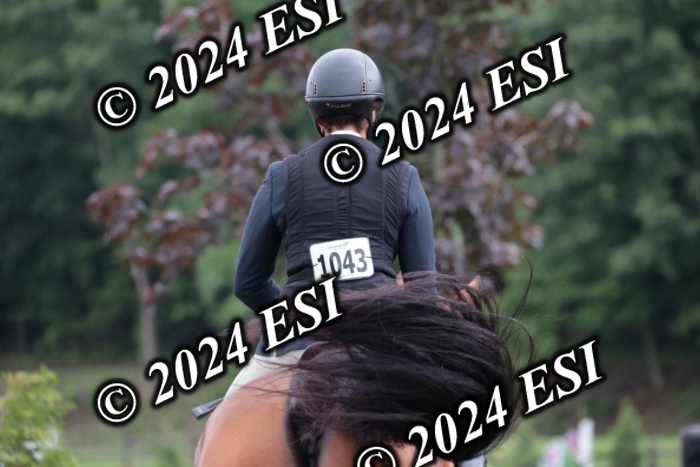 110SC1_3251
