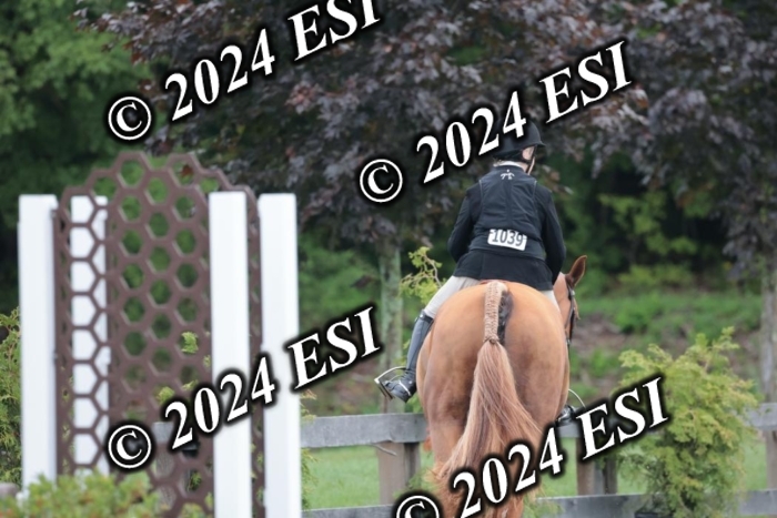 110SC1_3479