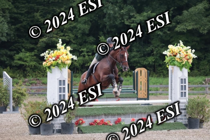 110SC1_3569