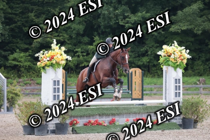 110SC1_3570