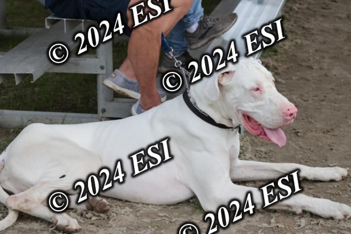 110SC1_3687