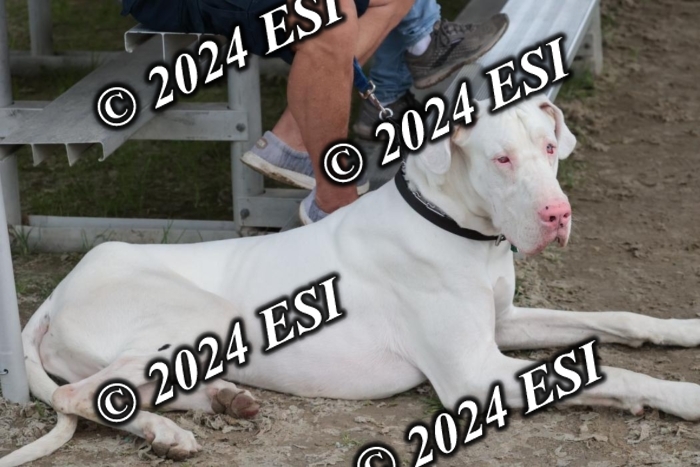 110SC1_3689