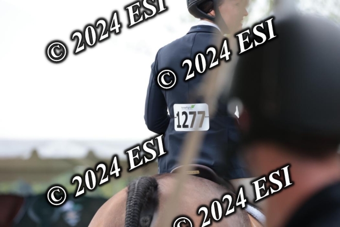 110SC1_3827