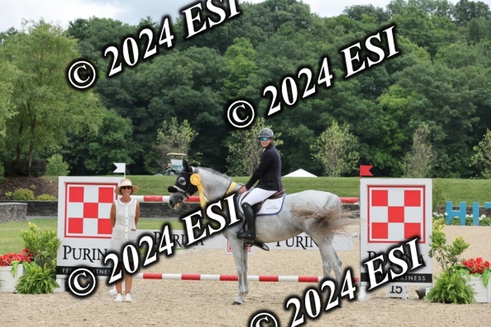 725DI7_5390