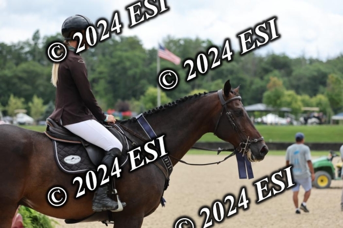 725DI7_5399