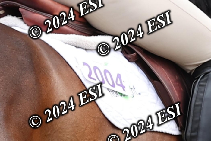 212DI3_1519