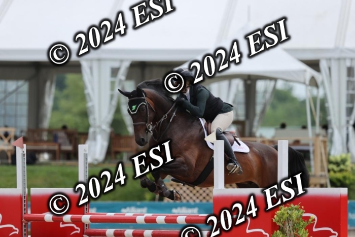 212DI3_1528