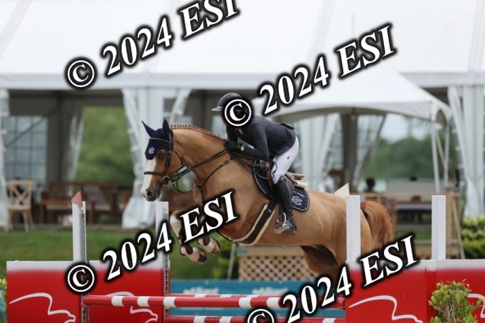 212DI3_1589