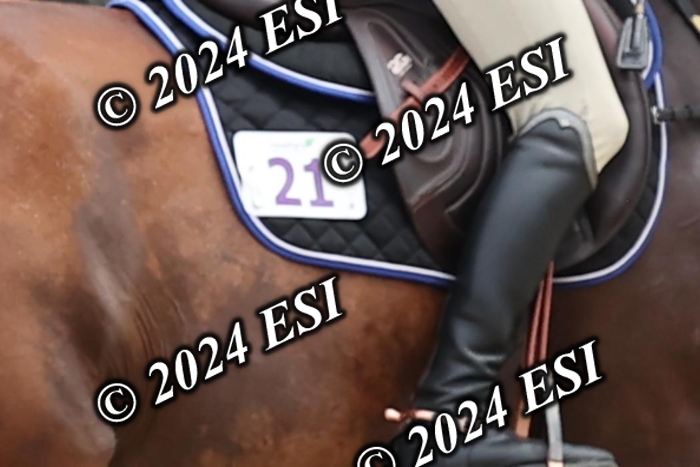 212DI3_1682