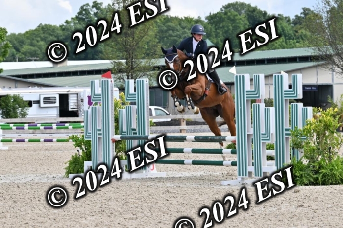 207CMS_8526